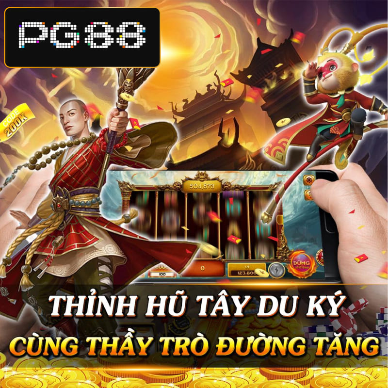Khám Phá Ssex Việt Nơi Giải Trí Và Thể Thao Hàng Đầu